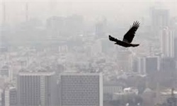 آلودگی هوای اهواز؛ برنامه‌های مبهم و سئوال‌های بی‌پاسخ