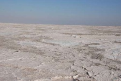 450 هزار هکتار از مساحت دریاچه ارومیه به شوره زار تبدیل شده است