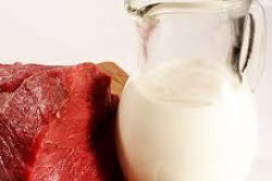 اختصاص یارانه به شیر/ ممنوعیت واردات گوشت قرمز 