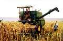 رییس سازمان جهاد کشاورزی خوزستان: تسهیلات مکانیزاسیون فقط به کشاورزان تعلق می گیرد