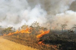 فراز هشدار داد: كشاورزان خوزستانی نسبت به عواقب آتش زدن مزارع آگاه باشند