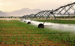 جهاد کشاورزی جدیتی برای گسترش آبیاری نوین در خوزستان ندارد