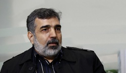  کمالوندی اعلام کرد؛ هیئت ۵ نفره آژانس انرژی اتمی فردا تهران را ترک می‌کند