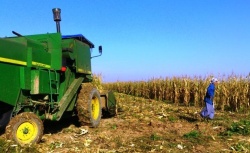  مدیر جهاد کشاورزی اهواز: کشاورزی اهواز با خرید تجهیزات مناسب رونق می‌گیرد