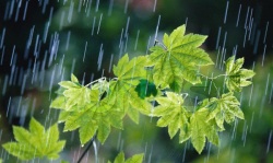 پیش‌بینی افزایش بارش‌های پاییزی در خوزستان