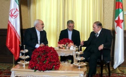 در دیدار ظریف با رئیس جمهور الجزایر بررسی شد: بررسی راهکارهای بازگشت ثبات و آرامش به یمن و سوریه