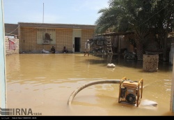 زاهد فردوس‌پناه : 3 روستای دشت آزادگان  هنوز زیر آب است