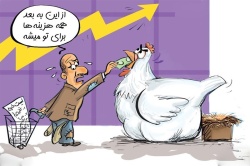 دبیر اجرایی اتاق اصناف اهواز : مرغ در خوزستان‌گران‌تر از دیگر استان‌ها است