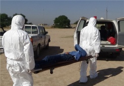 مدیرکل دامپزشکی خوزستان : برخي فوت شدگان بايد در قرنطینه دفن شوند