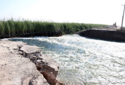 مدیرکل محیط زیست خوزستان : آب تالاب هورالعظیم  همچنان به عراق مي ريزد
