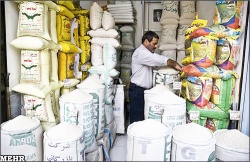 رئیس انجمن برنج خوزستان : صادرات برنج به عراق عملی نیست