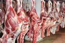 برای تنظیم بازار شب عید ؛  گوشت ۵۰ هزار توماني در بازار توزيع مي شود