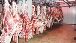 در پی شیوع ویروس کرونا و تعطیلی رستوران‌ها ؛ مصرف گوشت قرمز  ۶۰ درصد كاهش يافته است