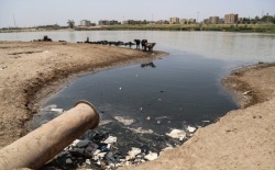 نماینده مردم ماهشهر و هندیجان : دام‌ها هم آب رودخانه را نمي‌خورند