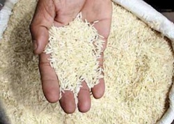مصوبه ممنوعیت عرضه برنج محلی خوزستان لغو شد