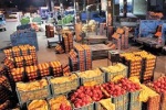 مدیرکل هماهنگی اقتصادی استانداری خوزستان: لزوم یکپارچه سازی عرضه میوه و تره در اهواز/روند عرضه مرغ ضعیف است