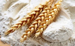 مدیر کل هماهنگی امور اقتصادی استانداری خوزستان: تغییر قیمت آرد صنعتی یک تصمیم کشوری است / محدودیتی برای توزیع روغن خوراکی در بازار وجود ندارد