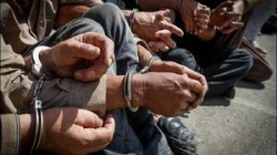 دستگیری هشت زمین خوار در امیدیه