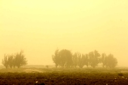مدیرکل هواشناسی خوزستان: خیزش گرد وخاک در سطح خوزستان