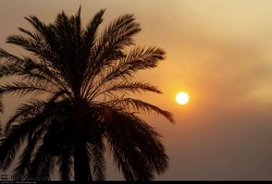 مدیرکل هواشناسی خوزستان: تضعیف پدیده شرجی در خوزستان