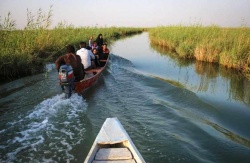 تالاب شادگان به یکی از قطب‌های گردشگری خوزستان تبدیل می‌شود
