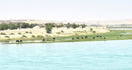 دستورات غیرکارشناسی و اشتباه، امنیت غذایی را به خطر می‌اندازد ؛   تصمیم سازمان آب و برق خوزستان، کشاورزان را به خاک سیاه می‌نشاند