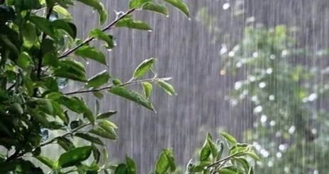 محمد سبزه‌زاری : خوزستان در آذر و دی، بارندگی‌های بالاتر از حد نرمال را تجربه خواهد کرد