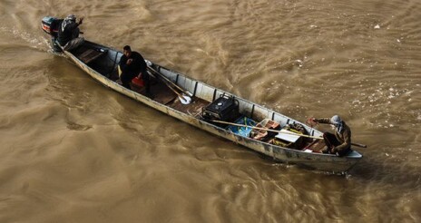 فاجعه عادی شدن صید برقی در خوزستان؛ قتل‌عام آبزیان در روز روشن و سکوت محیط‌زیست و شیلات