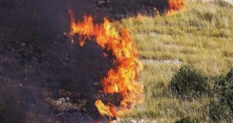 مدیرعامل انجمن دیدهبان جلگه سبز خوزستان: نقش تالاب هورالعظیم در پایداری زمین و کیفیت هوا به اندازه «جنگلهای آمازون» است