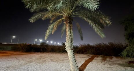 لزوم اقدام فوری استاندار خوزستان برای نجات بیش از ۲ هزار نفر ؛ روستای «مدن آبادان» روزانه فقط ۲ ساعت آب شرب دارد!